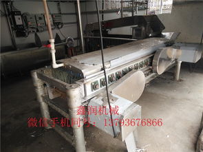 鴿子宰殺脫毛機(jī)鑫潤(rùn)機(jī)械生產(chǎn)銷售
